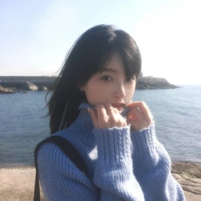 盗贼生涯